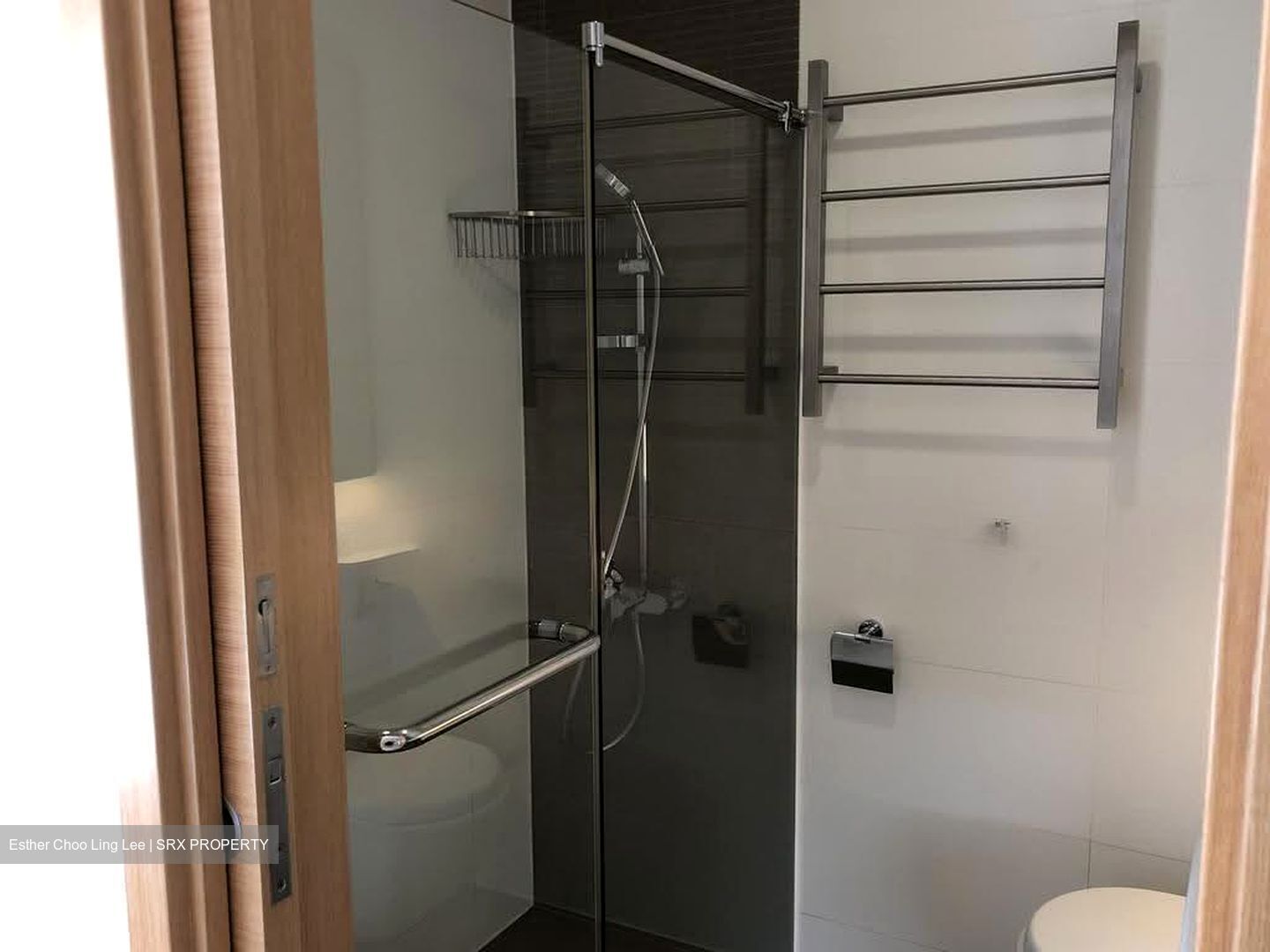 Shelford Suites (D11), Condominium #629575961